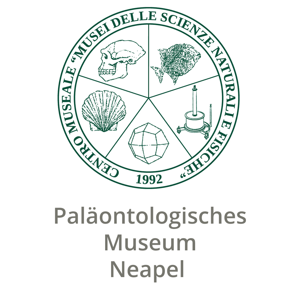 Paläontologisches Museum Neapel